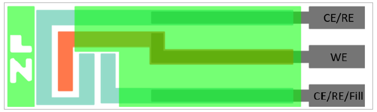 Illustration of a screen-printed electrodes biosensor