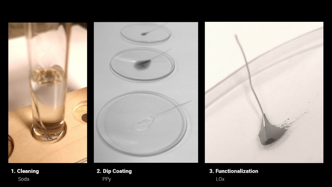 Cleaning, dip coating and functionalization stages of the platinum wire
