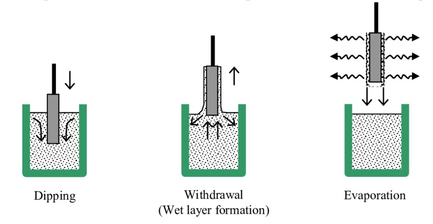 Stages of the dip coating process