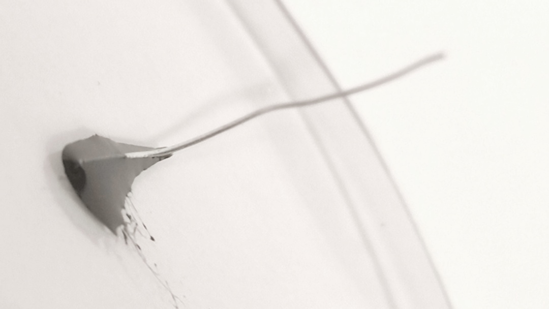 Close-up of the lactate oxidase functionalized platinum wire