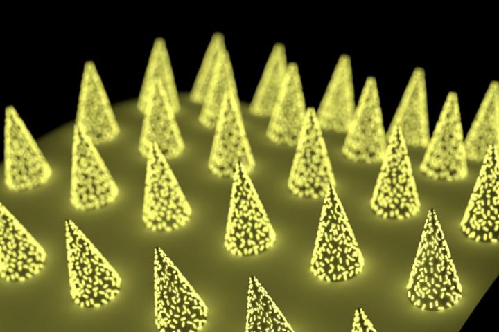 Microneedle array on the skin