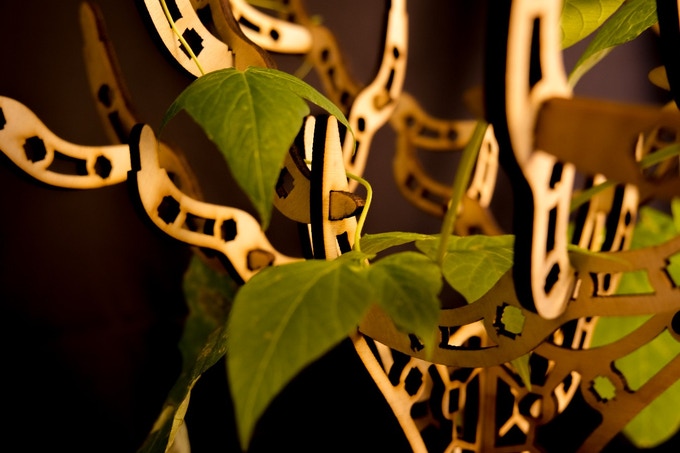 Different Green-Grown shape possibilities